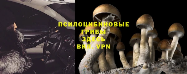 MDMA Няндома