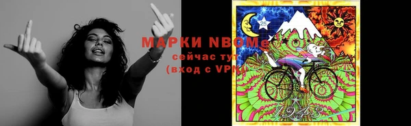 твердый Долгопрудный