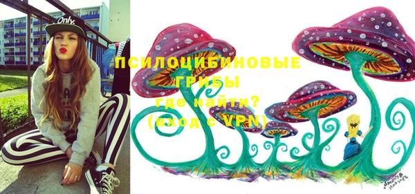 ешки Менделеевск